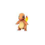 charmander pokemon go