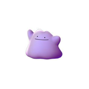 ditto pokemon go