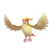 pidgeot pokemon go