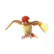 pidgeotto pokemon go