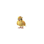 pidgey pokemon go