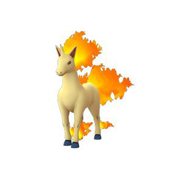 Ponyta - #077 -  Pokédex