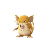 raticate pokemon go