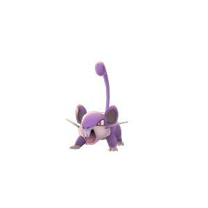 rattata pokemon go