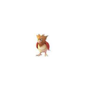 Pokemon 21 Spearow Pokedex: Evolution, Moves, Location, Stats